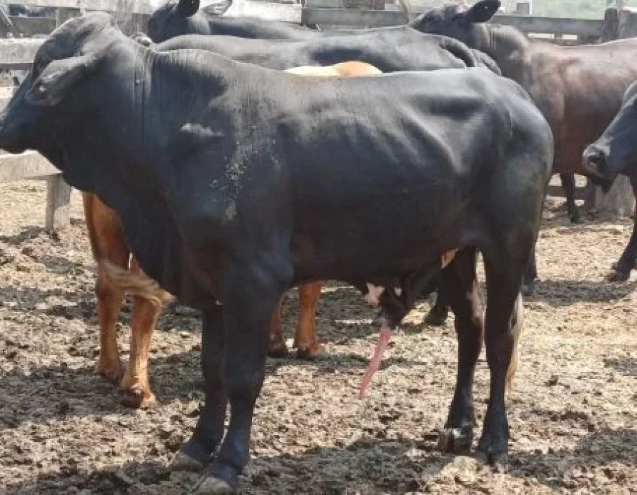 WhatsApp-Image-2024-09-26-at-13.09.51-768x354