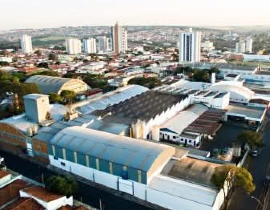 WhatsApp Image 2025-01-06 at 09.56.42