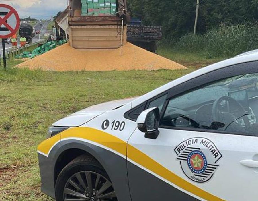 WhatsApp Image 2025-02-12 at 19.14.18 (1)