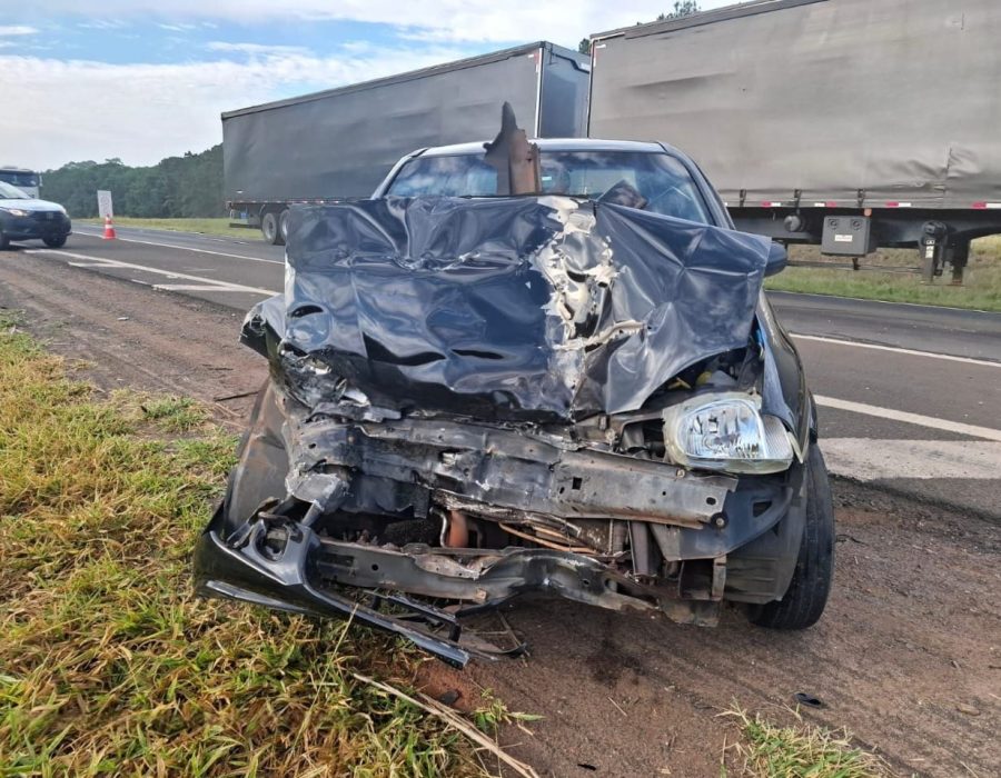 WhatsApp Image 2025-03-18 at 11.06.39