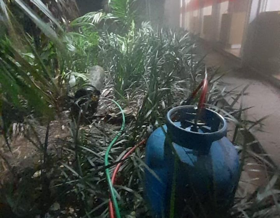 WhatsApp Image 2025-05-23 at 08.43.31