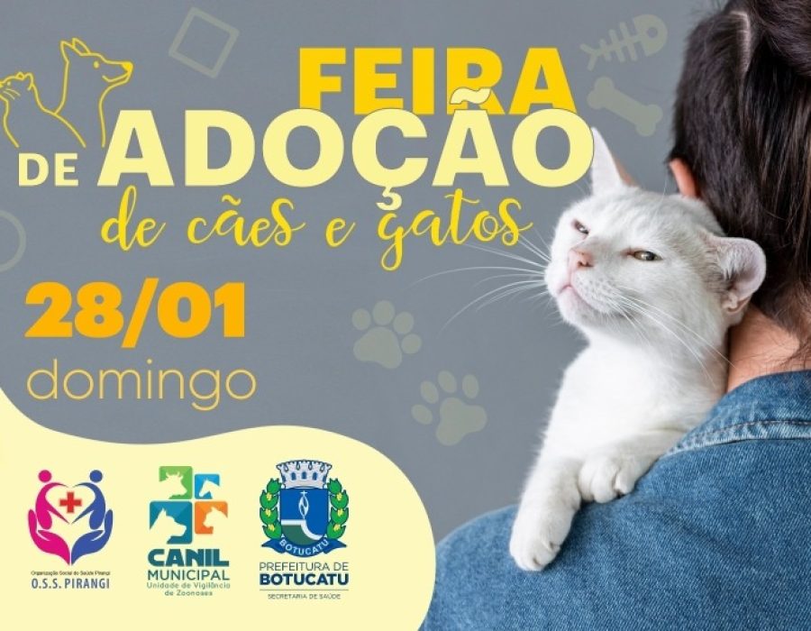 a52f484be4592efffe2cb68fab9e2dde