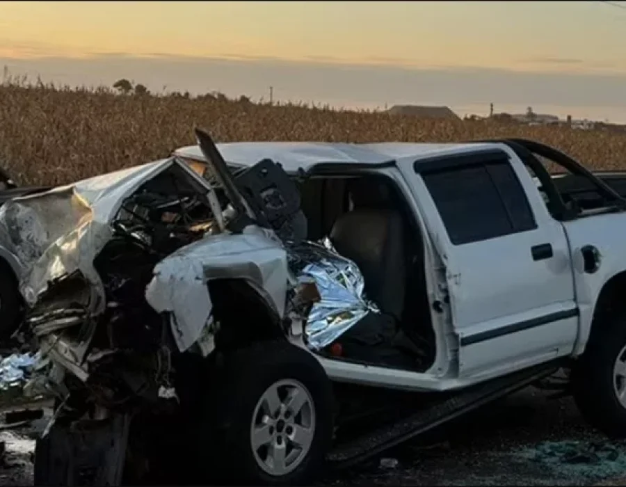 acidente-avo-neta-assis-270624