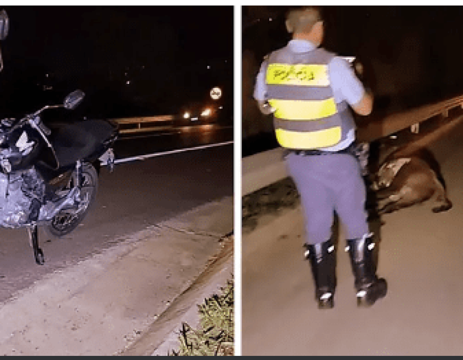 acidente-moto-vaca-rio-pardo-030923