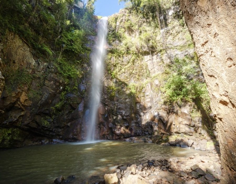 ad2dd2115e4e4faab69f651b875be39e