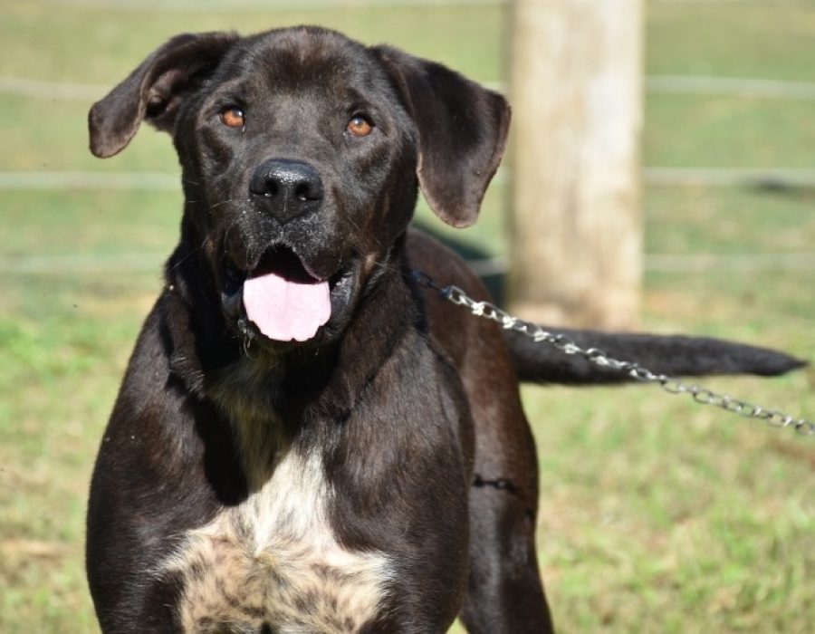 ae64a0477dcd8fdabbc5ef2609ee28ad