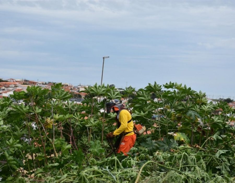 aff3b5d4f5f5ca659c9c33ba151541c4