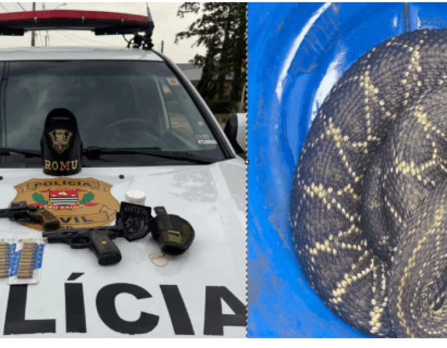 apreensão de arma e cobra