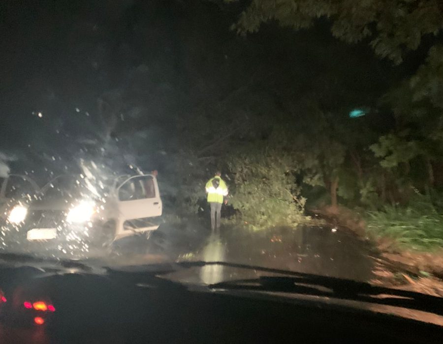 arvores-caem-na-rodovia-alcides-soares-durante-chuva-img-20211228-wa0068