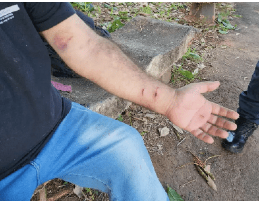 ataque-cachorros-limeira-150523