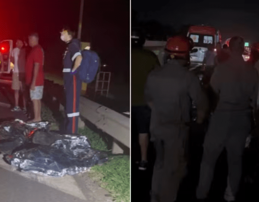 atropelamentos-rodovia-sao-carlos-170324-768x426