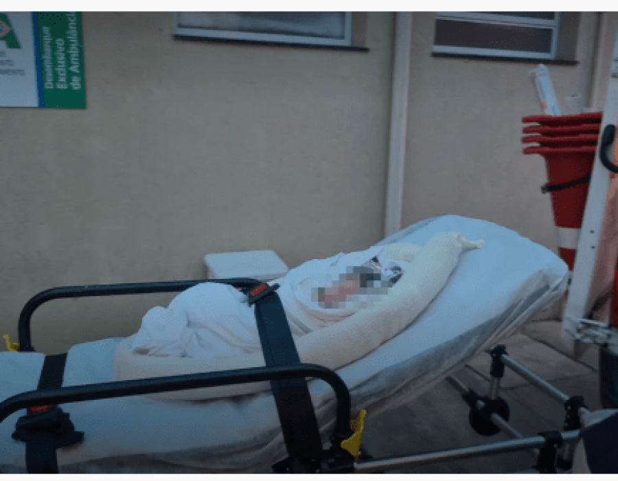 bebe-canavial-piracicaba-2-150323