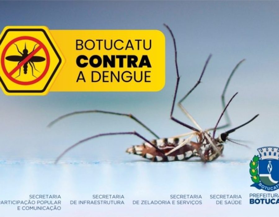 botucatu-contra-dengue-231123-768x515