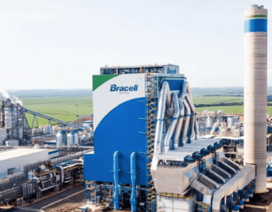 bracell-celulose-040224-768x348