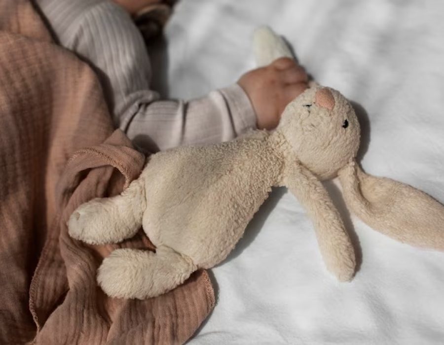 c6f57ae4-6d77-481f-afcb-e07e61127a09 (1)