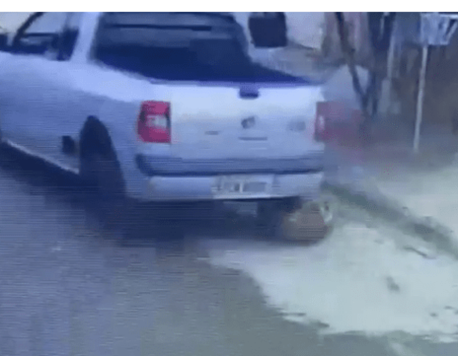 cachorro-atropelado-marilia-121022