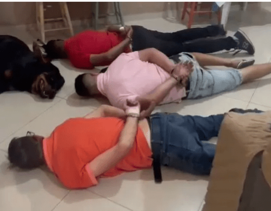 cachorro-se-rende-hortolandia-280722