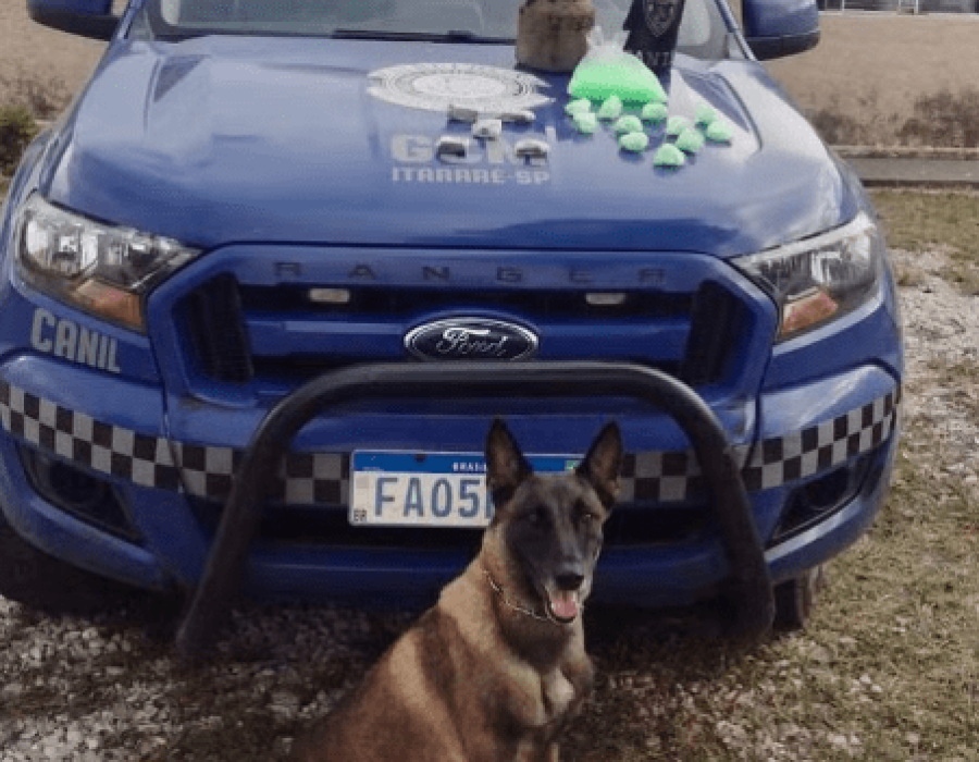 cadela-guarda-droga-itarare-250124