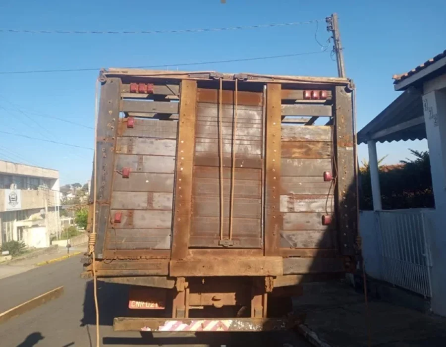 caminhao-furto-de-bovinos