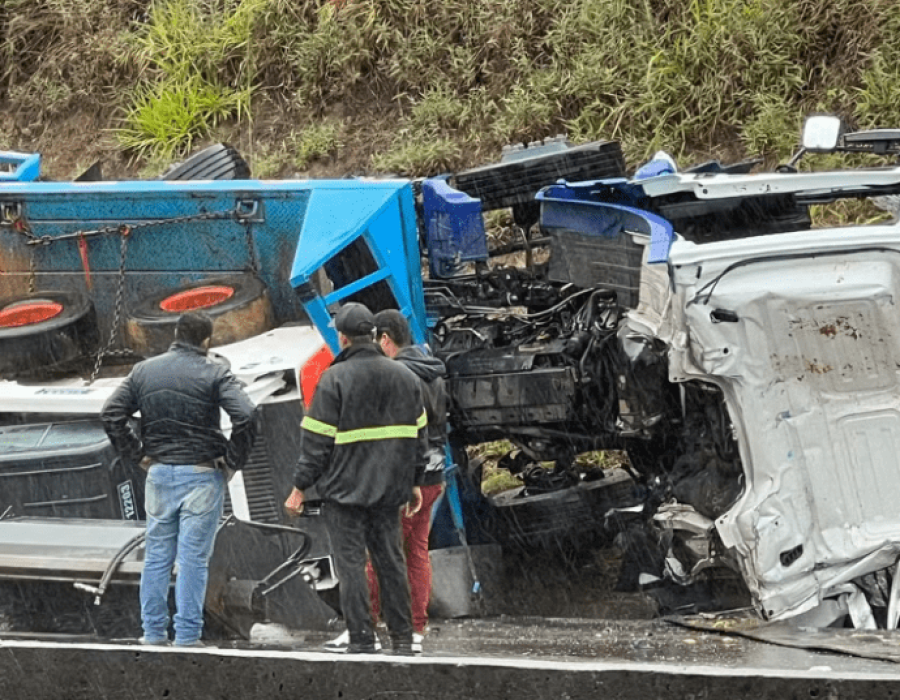 caminhao-viaduto-rincao-230124-768x537