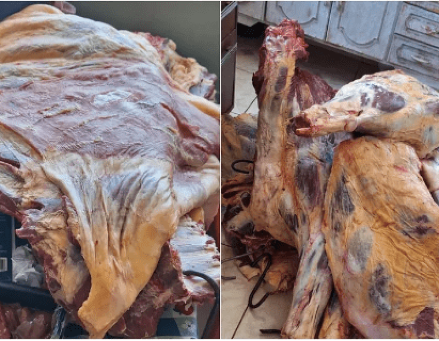 carne-estragada-bernardino-de-campo-071123