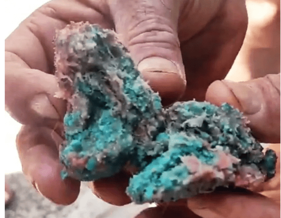 carne-veneno-piracicaba-071123