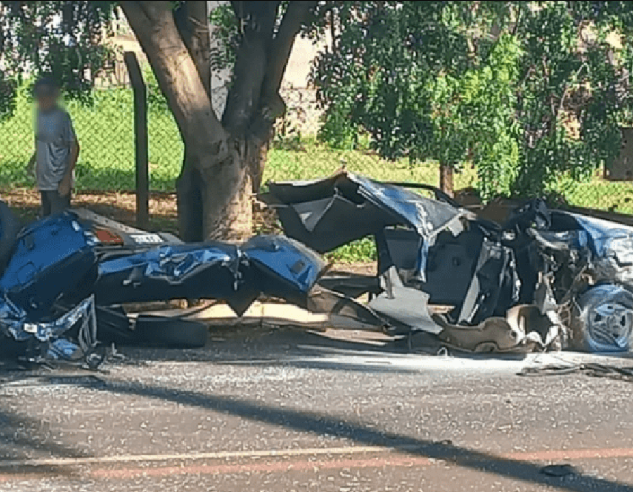 carro-arvore-sao-joaquim-261123-768x436