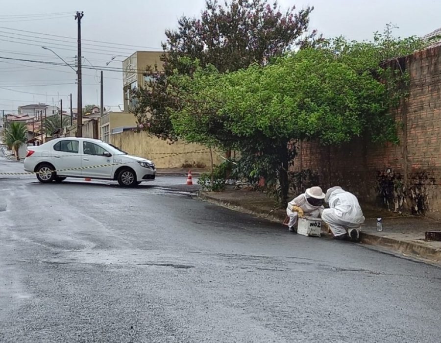 cd91746c8d04e4e7291a4d087ddf2d01