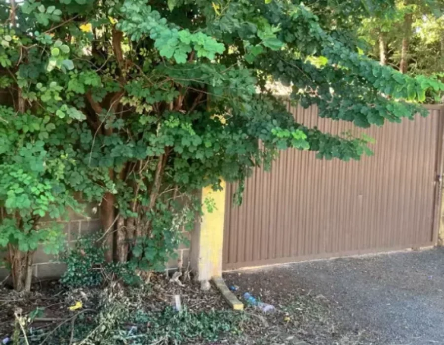 chacara-morte-paulinia-210424-768x430