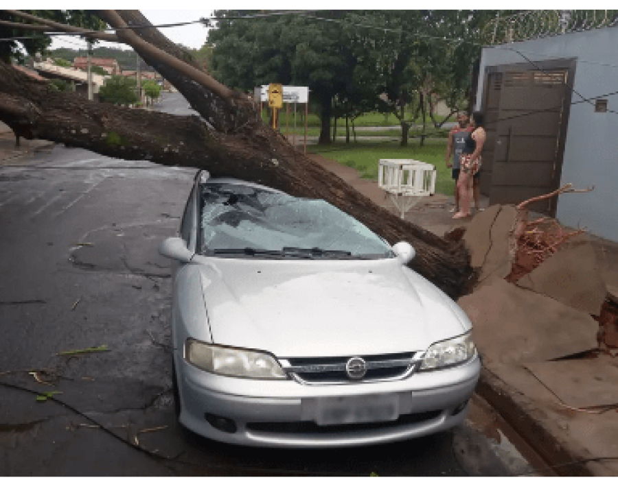 chuva-arvore-carro-bauru-291023