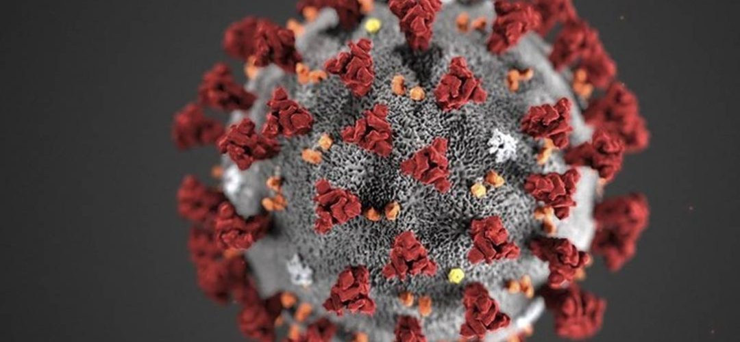 coronavirus-5