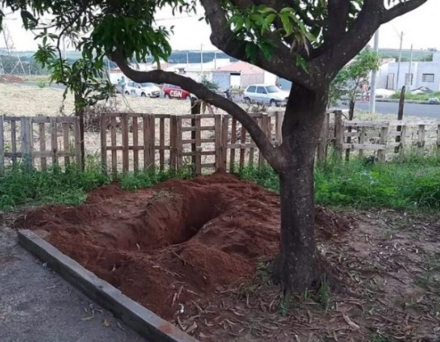 corpo-sao-carlos-110422-768x431