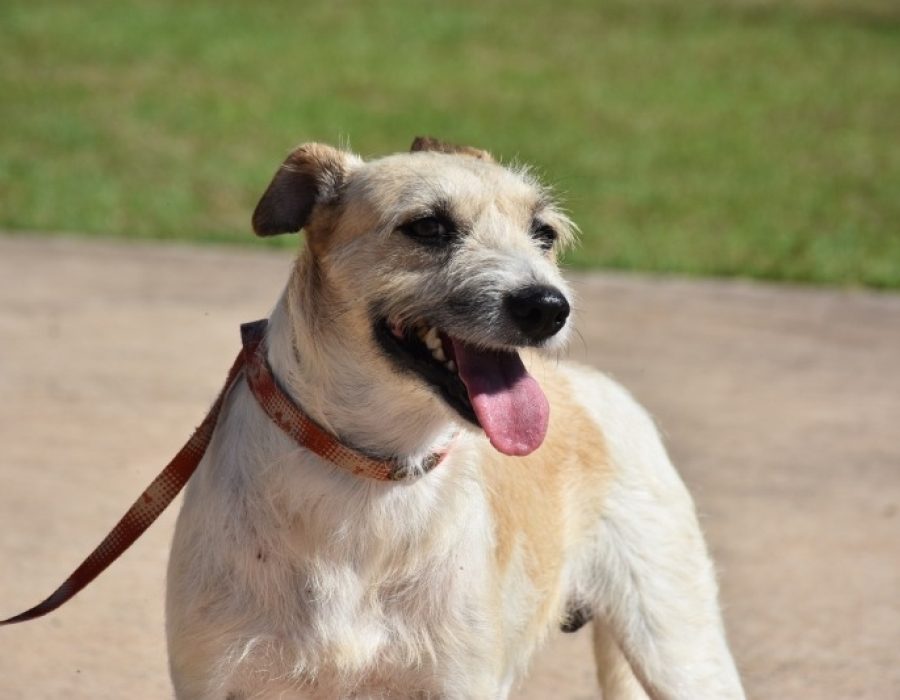 d19fcbf1e845701275b077738151837a