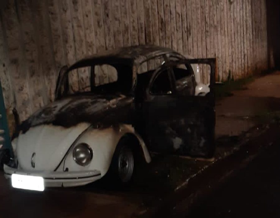 d3fcf305-d4e9-4975-aa79-5fd52fa37a05