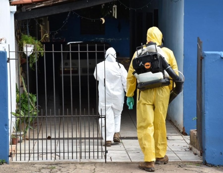 d80a966e5103690ae424ffb437fbdae4