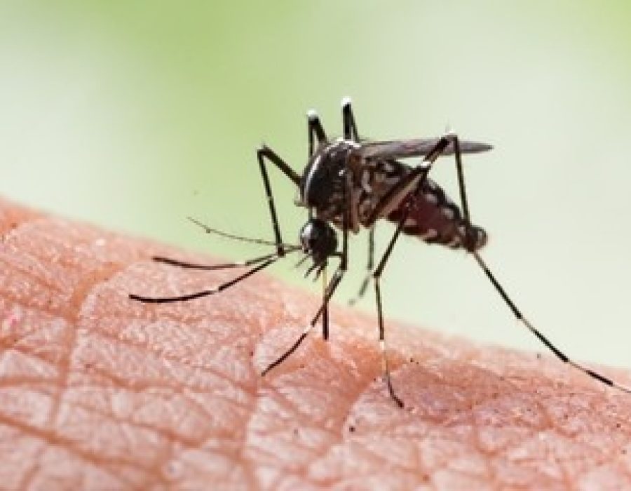 d9131249014c1d7b1f99350f7556c3e9