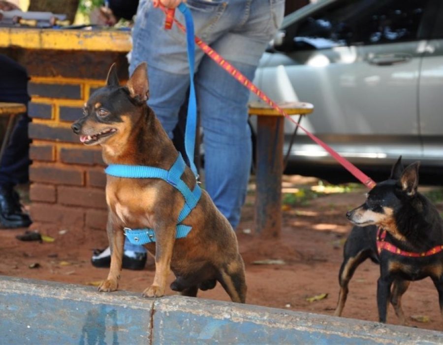 daaf1967532a23d0f1de3b46b587fca8