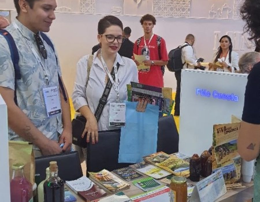 defcef70a9c675419d0ba96fc8beeff0