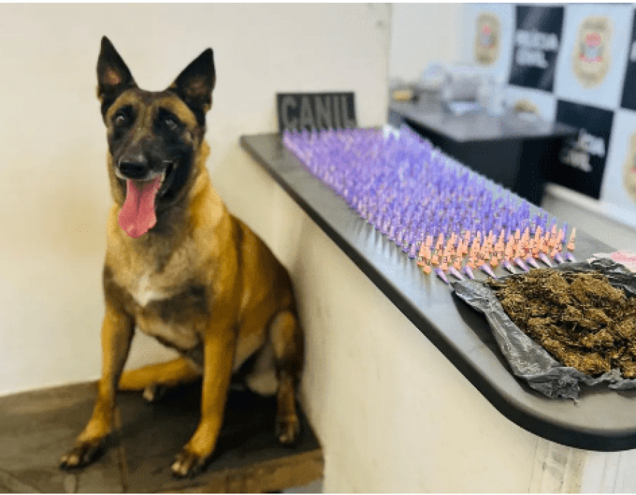 droga-cao-itapetininga-211123