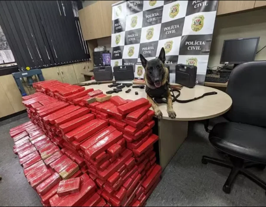 droga-cao-limeira-050624