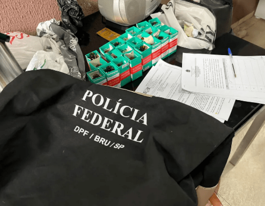 droga-cetamina-pf-bauru-161123