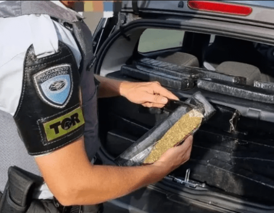 droga-maconha-castello-081223-768x417