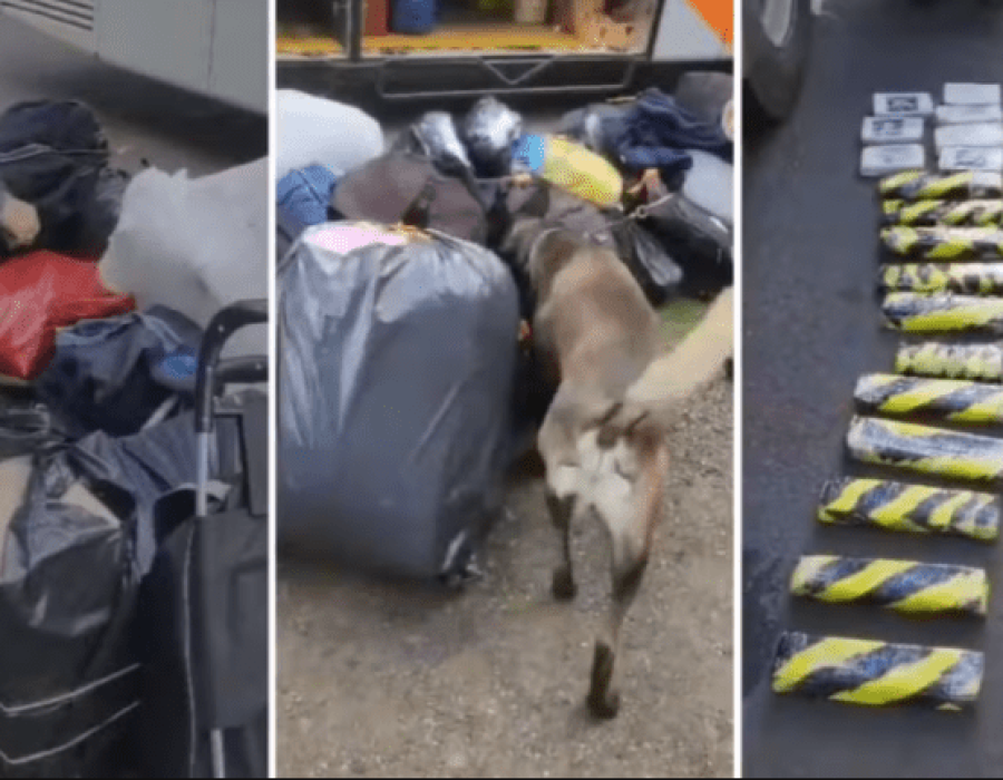 droga-onibus-anhanguera-300324-768x433