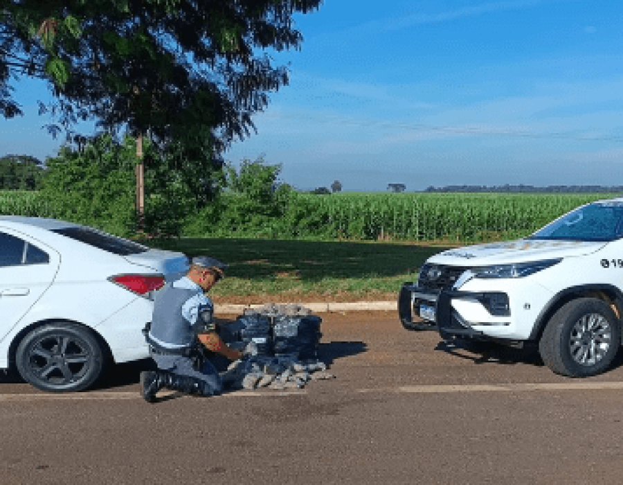 droga-palmital-080523