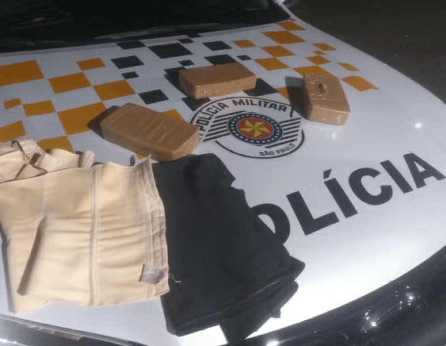 droga-palmital-190324