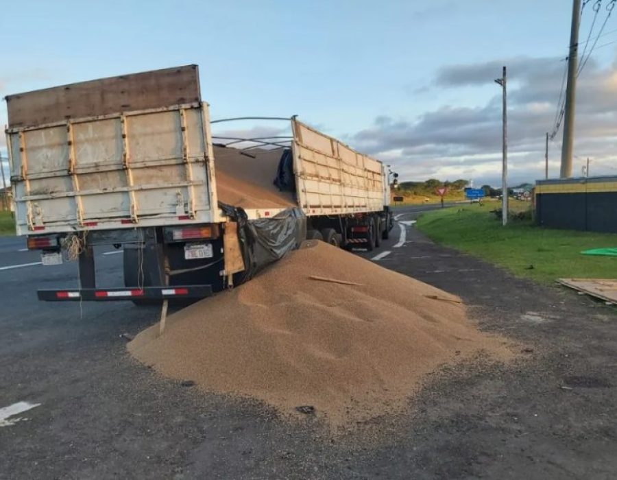 droga-pardinho-768x575