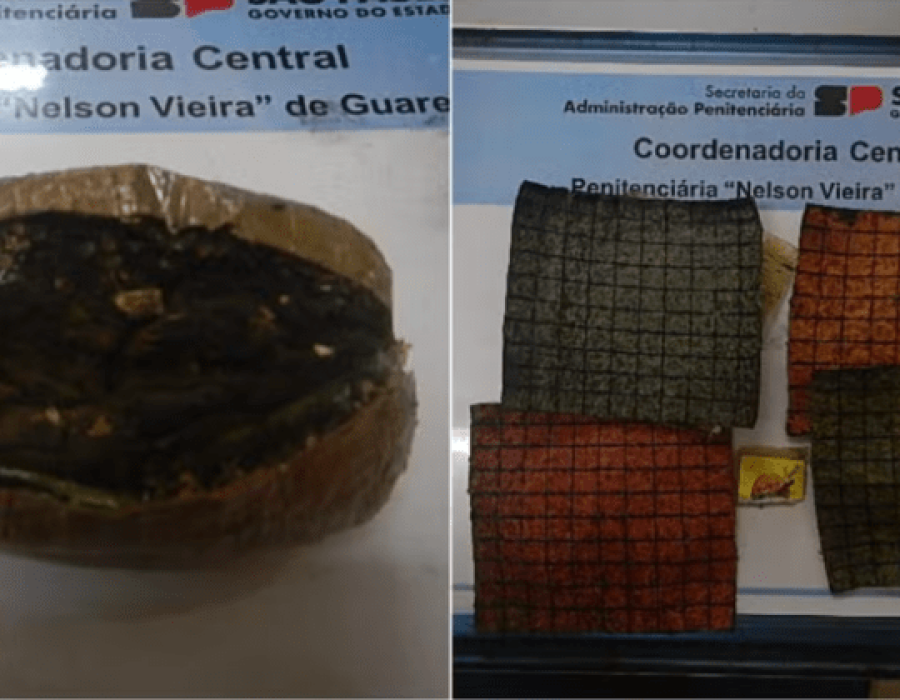 droga-presidio-guarei-260224-768x420