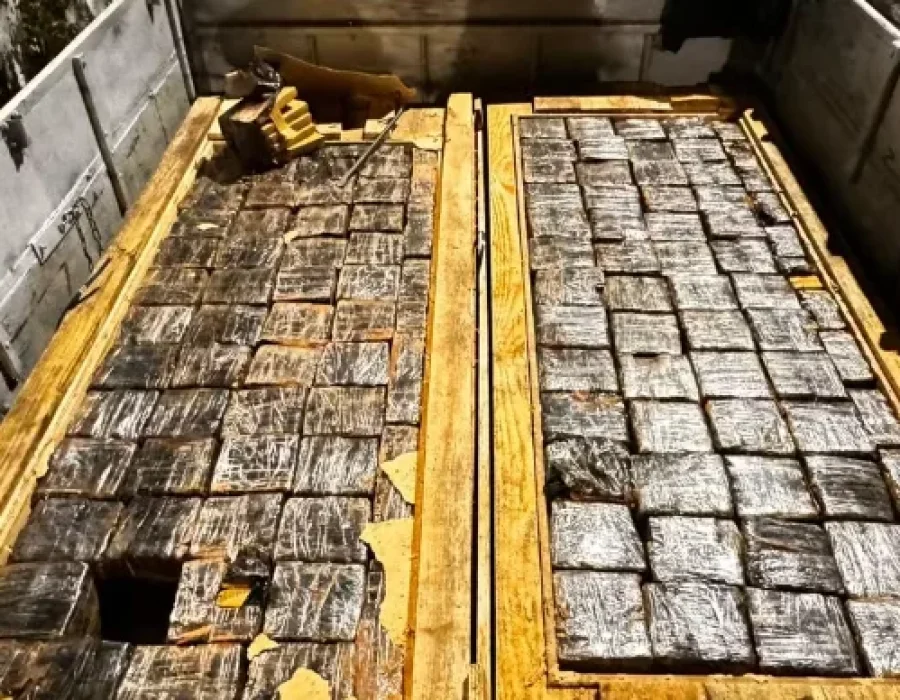 droga-saminhao-madeira-castello-280724