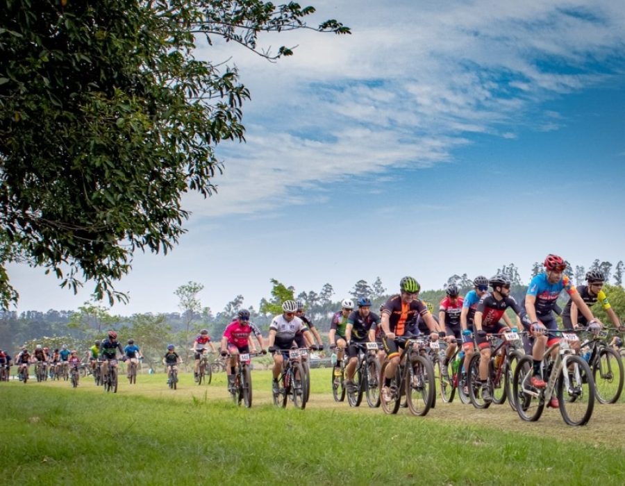 ec2d56bd412ba0b52a5c00da108226c1