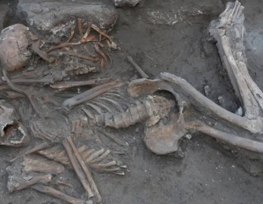 esqueletos-irmaos-cirurgia-cerebro-meggido-230223